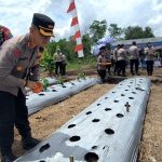 Ketahanan Pangan
