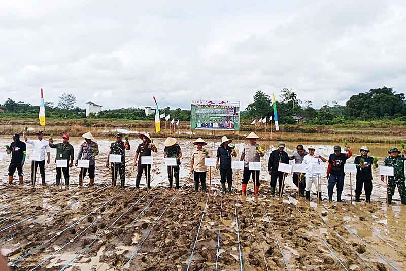 Wujudkan Kestabilan dan Swasembada Pangan