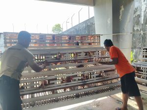 Progam Pembinaan Rutan Kelas IIA Palangka Raya, Ternak Ayam Petelur