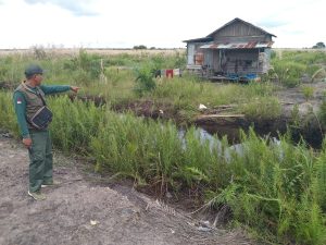 Berhasil Melawan, Warga di Kotim Lolos dari Serangan Buaya