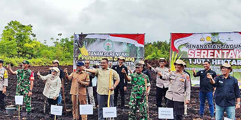 DPKP Dukung Program Penanaman Jagung Serentak 