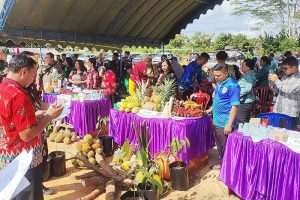 Pemkab Gelar Festival Buah Lokal