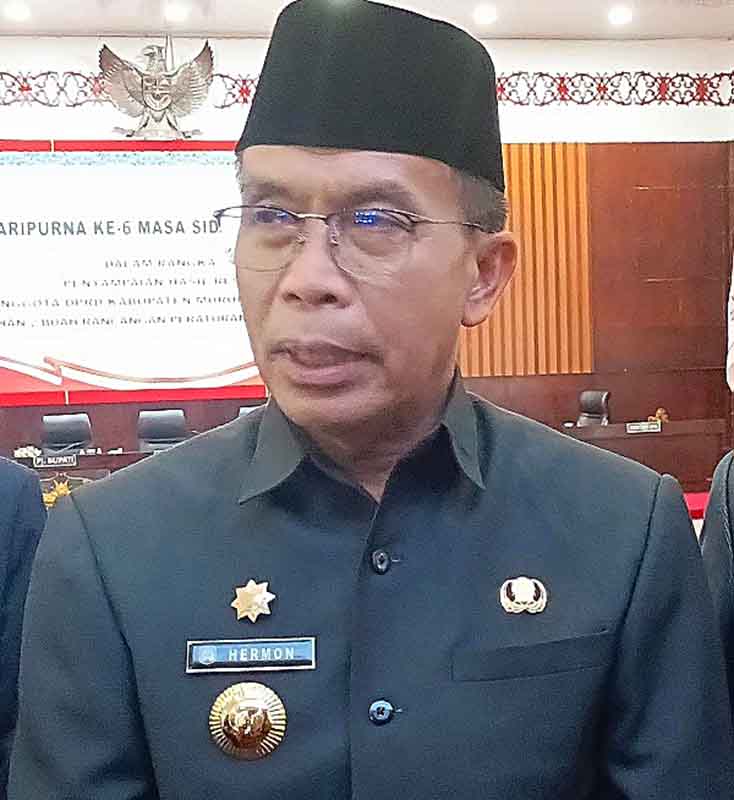 Pj Bupati Murung Raya, DR Drs Hermon MSi.