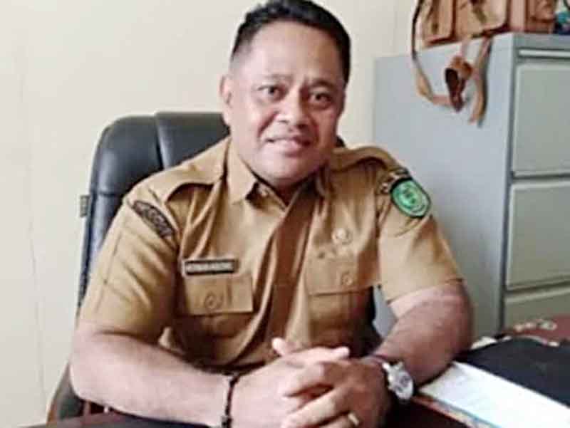 Kepala DPMD Kabupaten Pulang Pisau, Herman Wibowo.