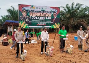 Pj Bupati Sukamara Hadiri Launching Ketahanan Pangan Penanaman Jagung 