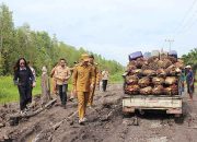 Bupati dan Wabup Tinjau Jalan Rusak Sebangau Kuala 