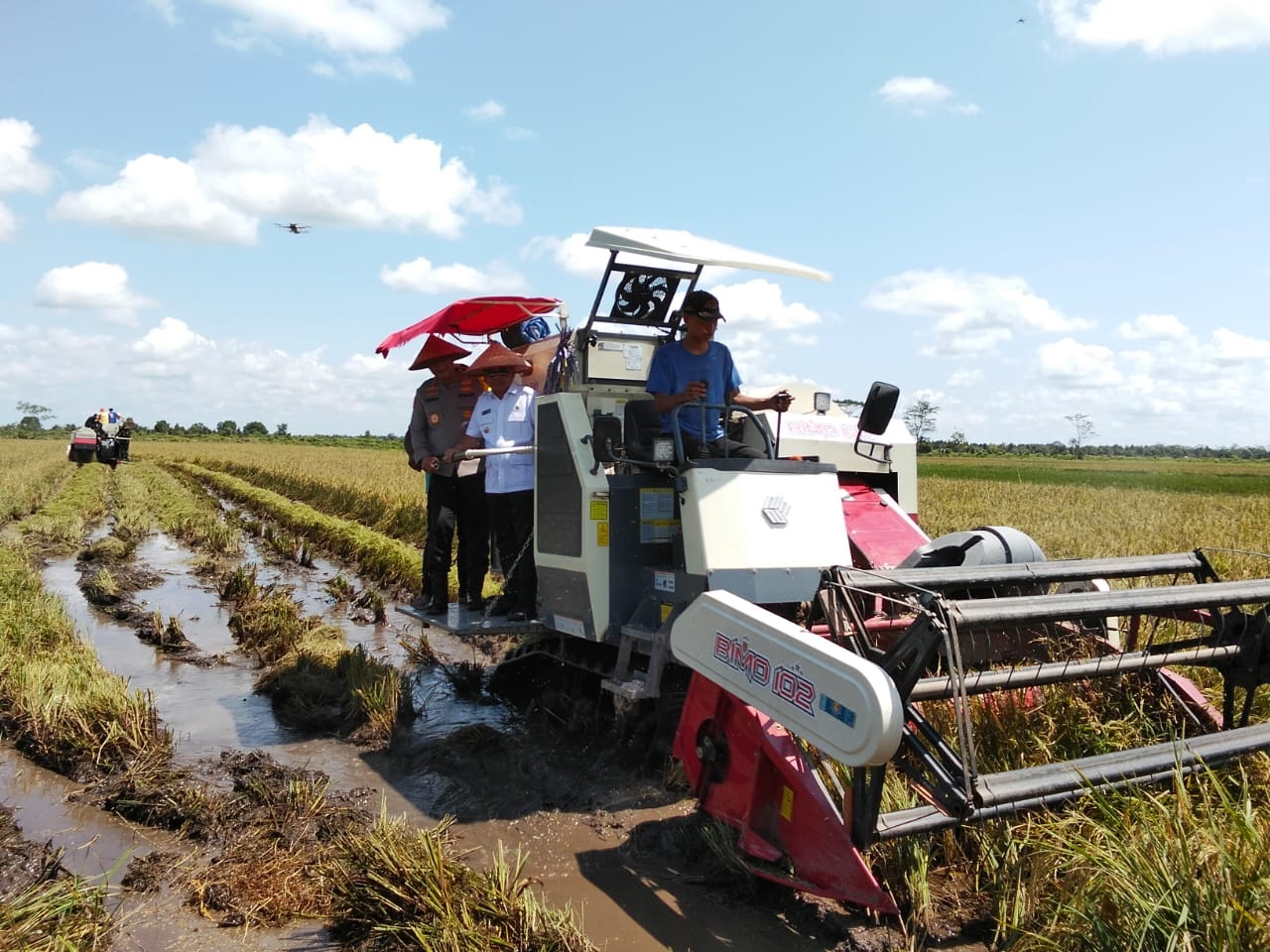 Produktivitas Padi Kalteng 6,5 Ton Per Hektare
