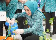 Manfaatkan Pekarangan Lewat Program “Aku Hatinya PKK”
