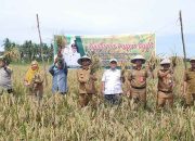 Masduki Ajak Kawula Muda Dukung Sektor Pertanian