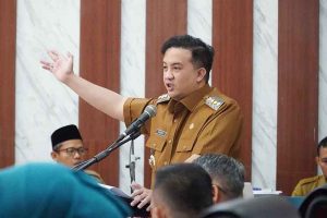 Rizky: Aktifkan Ambulans Desa dan Budidaya Tanaman 