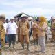 Serangan Hama dan Banjir Sebabkan Panen Tak Maksimal