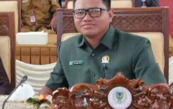 Anggota DPRD Seruyan Aliansyah