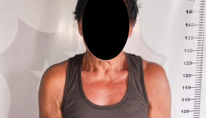 Simpan Senpi Rakitan, Pria 63 Tahun Diamankan Polisi
