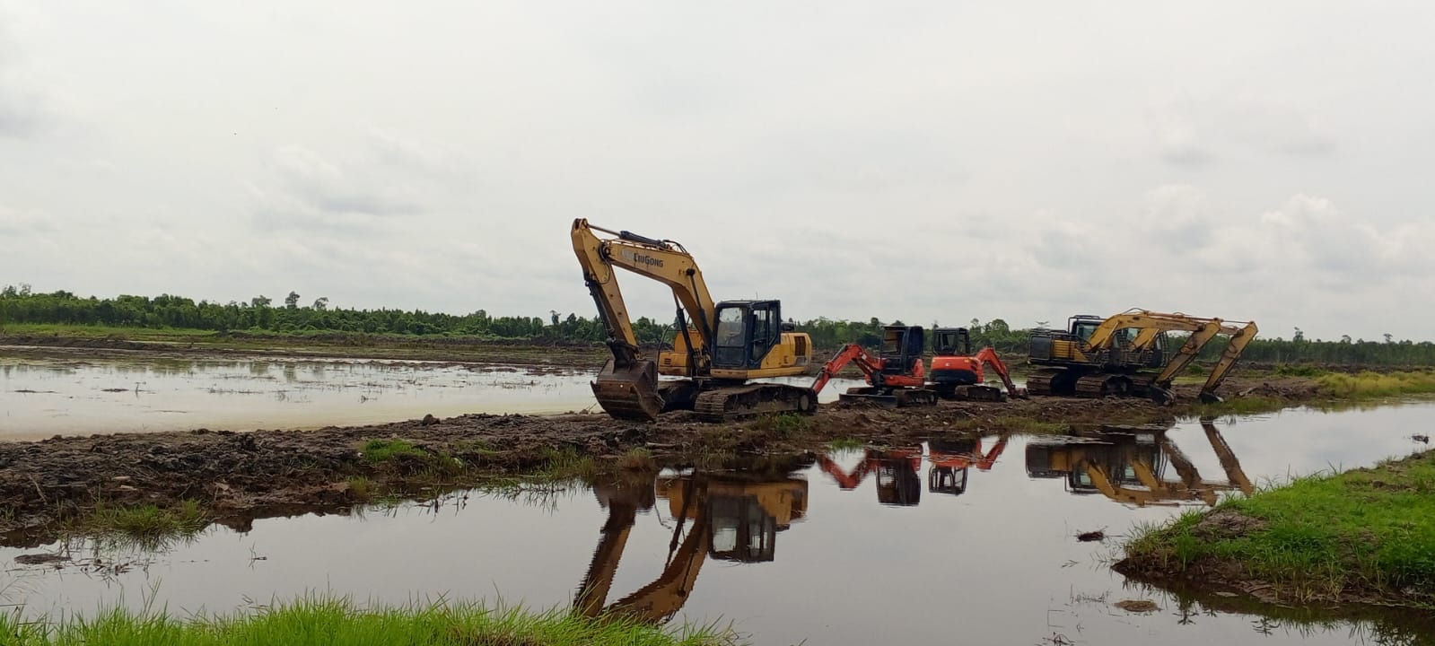 Perencanaan Food Estate Dadahup Tak Sesuai Kondisi Lapangan