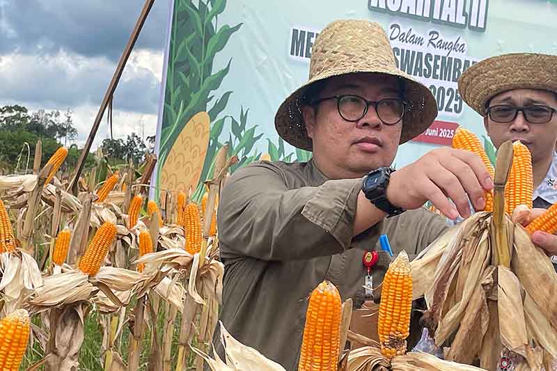 Distan Targetkan Puluhan Hektare Lahan Jagung 