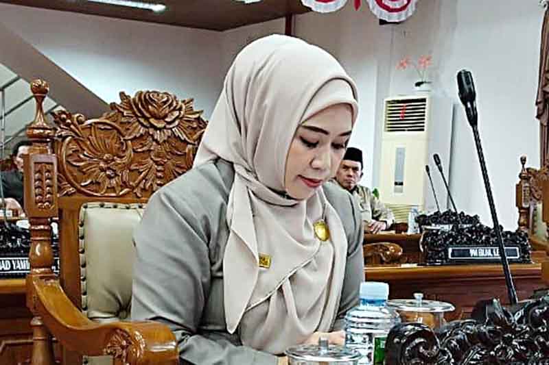 Juru Bicara Fraksi PPP DPRD Kabupaten Pulang Pisau, Dewi Sartika