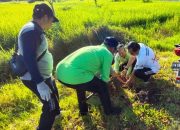 Pj Sekda Kapuas Bersama ASN Lakukan kegiatan “Jumat Bersih”
