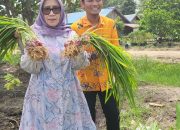 Siti Nafsiah Serap Aspirasi Petani dan Nelayan di Katingan 