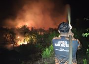 Kebakaran Lahan Terjadi Lagi di Kotim