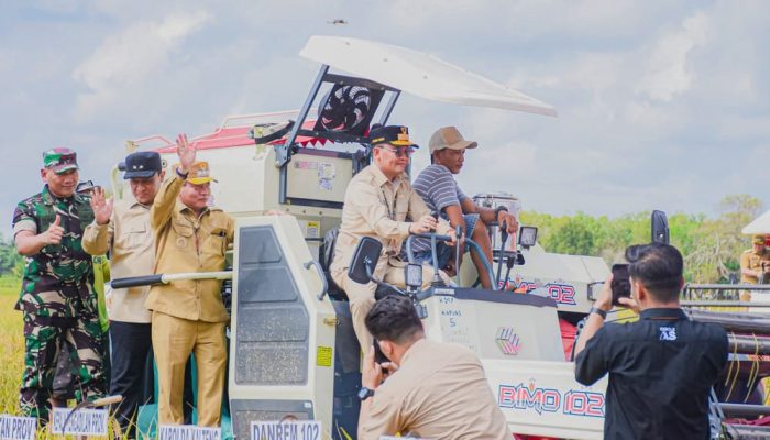 Panen Padi di Bataguh, Gubernur Apresiasi Petani