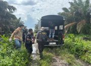 Pria 42 Tahun Tewas di Pohon Sawit PT SKD