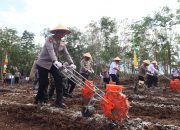 Kapolda Kalteng Tanam Jagung di Pulpis, Target Panen Kuartal III Tembus 28 Ribu Ton