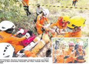Pesawat Latih Jatuh di Hutan, Tim SAR Gerak Cepat