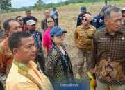 Wamendiktisaintek Stella Christie Cek Lokasi