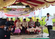 Kapuas Siap Penuhi 40% Kebutuhan Beras di Provinsi Kalteng