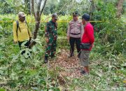 Warga Gandang Barat Gempar, Kerangka Manusia Ditemukan di Kebun Karet 
