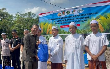 Memaksimalkan Lahan
