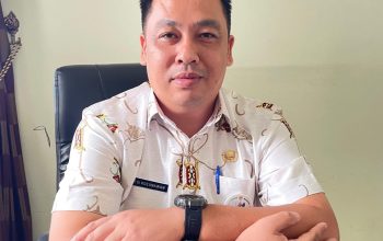 RKP Desa