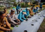 Manfaatkan Lahan Pekarangan