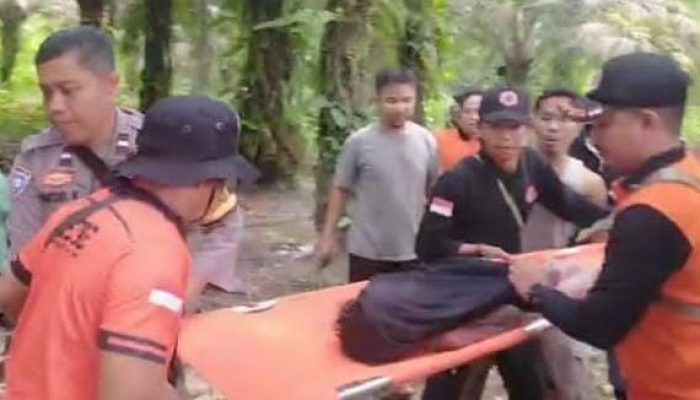 Hilang Usai Jumatan, Bocah Tewas di Kebun Sawit