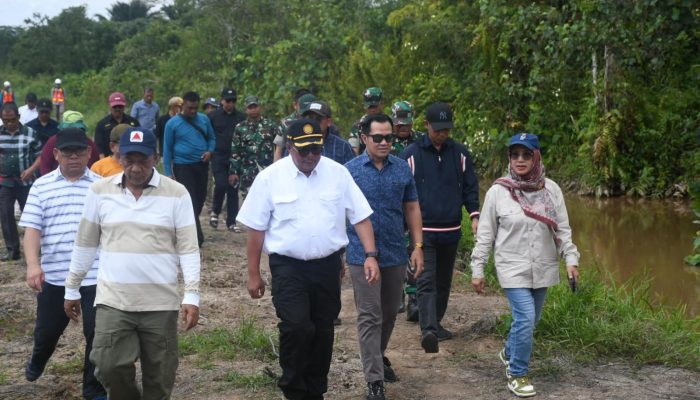Proyek Cetak Sawah di Pulpis Mangkrak