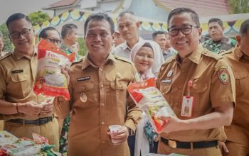 Pemprov Kalteng
