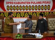 Wabup Pulpis