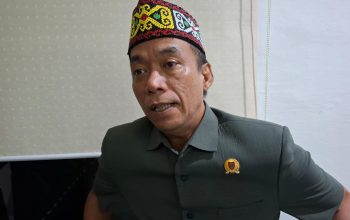 Dewan Minta Kewenangan Pengawasan Tambang Kembali ke Daerah