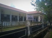 DPMPTSP Kalteng
