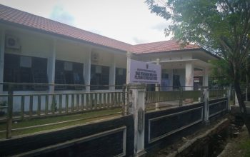 DPMPTSP Kalteng