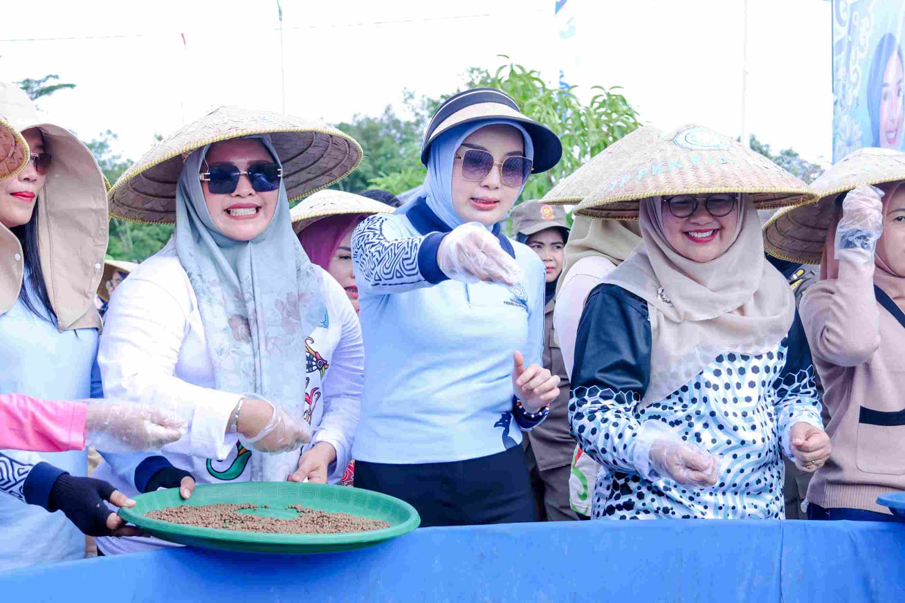 Penerapan Program
