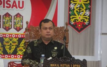 BNK Pulpis