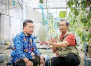 DTPHP Gandeng UPN Veteran Yogyakarta Ciptakan Varietas Melon Premium