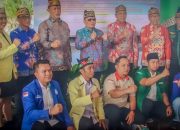 Deklarasi Damai