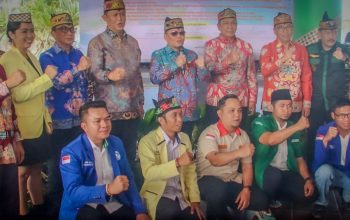 Deklarasi Damai
