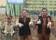 Ketua DPRD