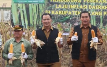 Ketua DPRD