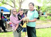 Dulu Asing dan Menakutkan, Kini Jadi Primadona