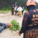 Penumpang KM Dharma Rucita Ditemukan di Wilayah Seruyan