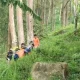 Penemuan Potongan Tubuh Manusia di Jalur Pacet-Cangar Mojokerto Gegerkan Warga
